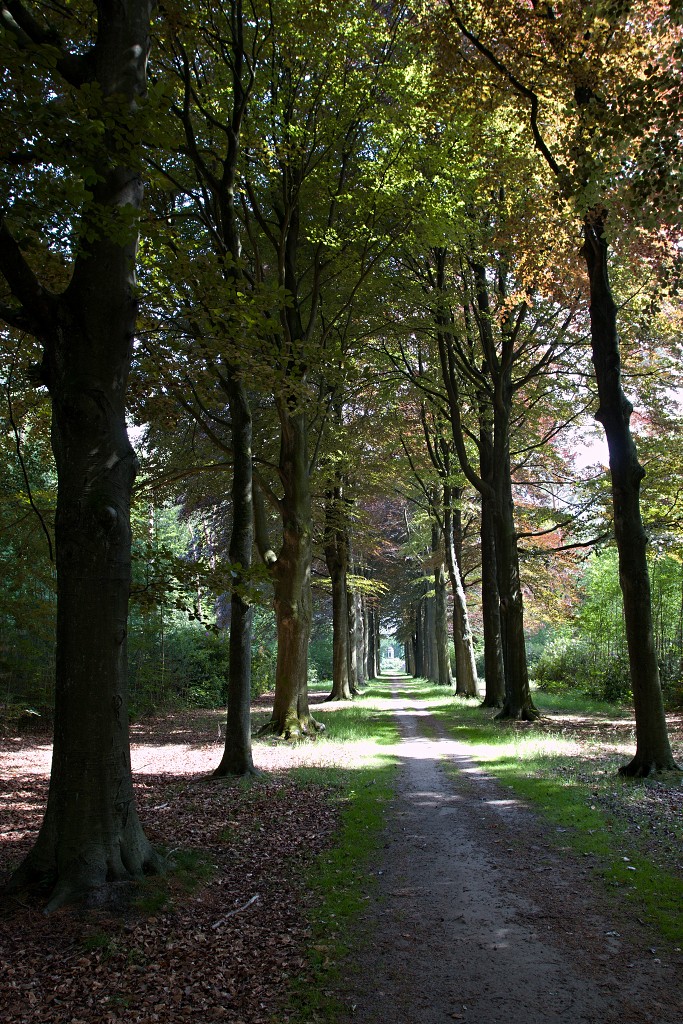 kalmhoutese heide hei hdr natuurgebied natuur landschap natuurpark natuurreservaat wandelen heidegebied bossen vennen